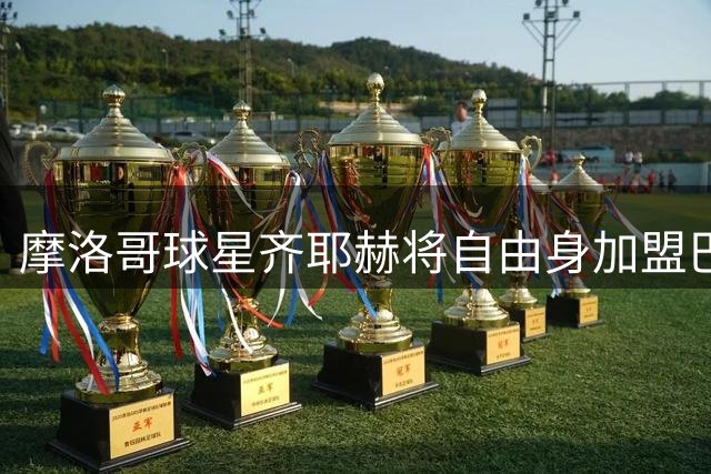 摩洛哥球星齐耶赫将自由身加盟巴甲博塔弗戈