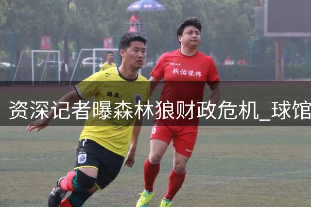 资深记者曝森林狼财政危机 球馆改造失败制约发展